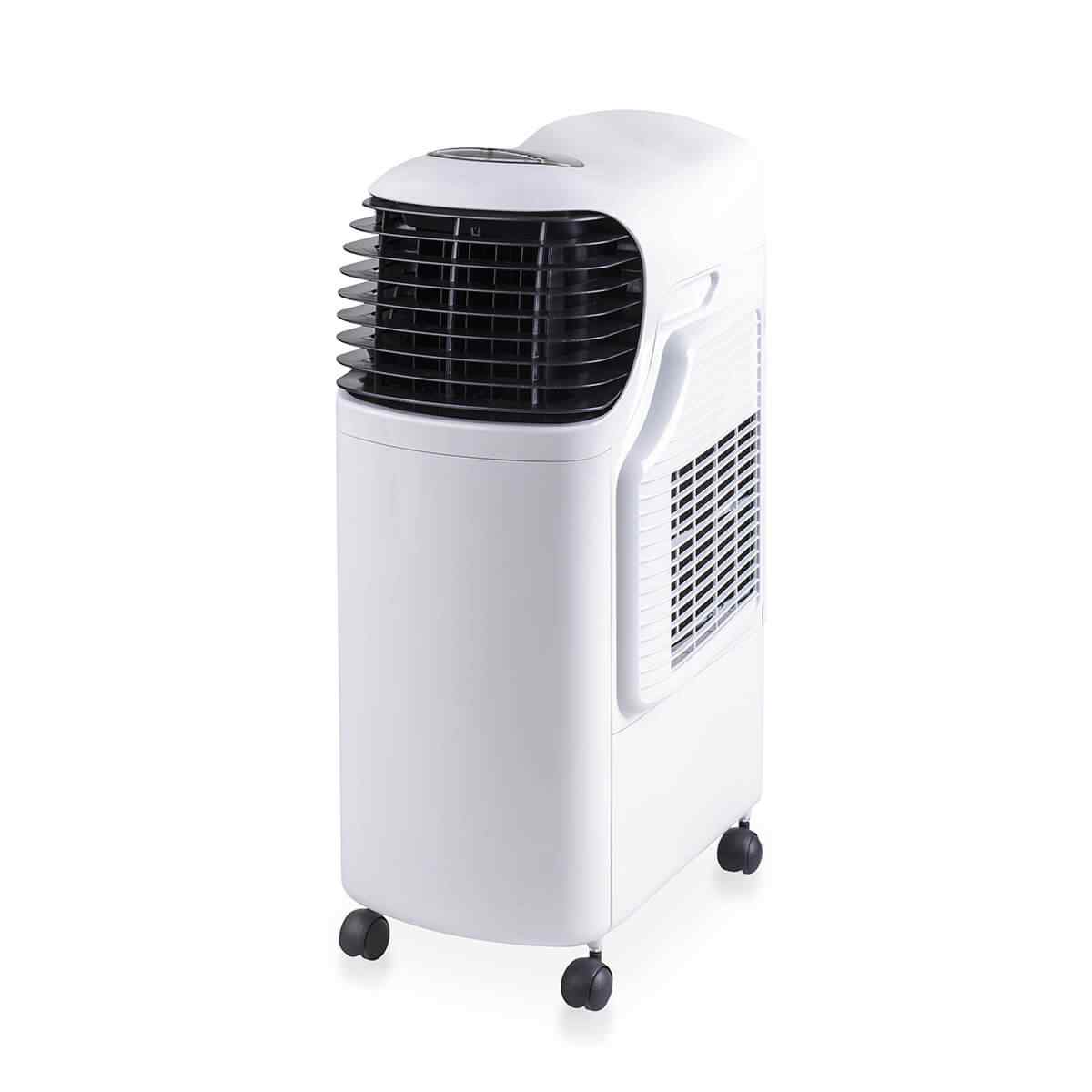 Whynter ARC-12S Tower